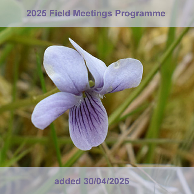 field meetings 2025