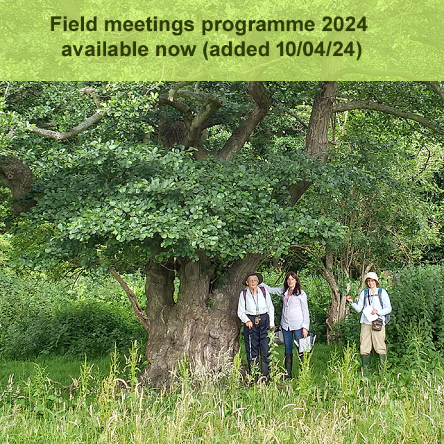 2024 field meetings programme