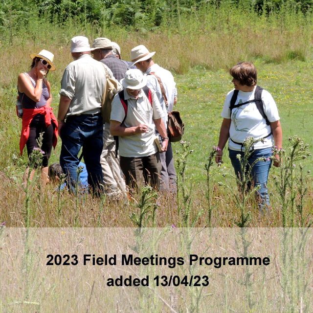 field meetings 2023 programme
