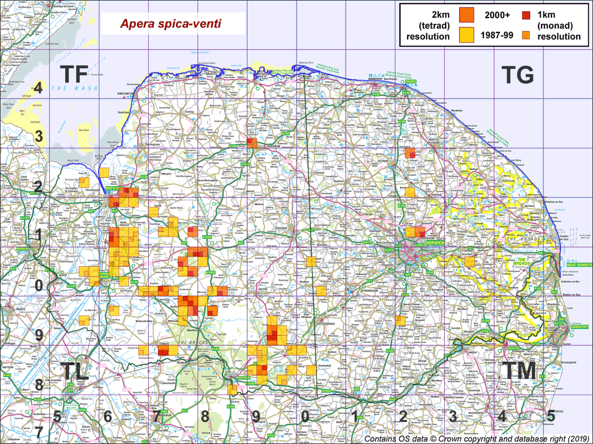 apera spica-venti map