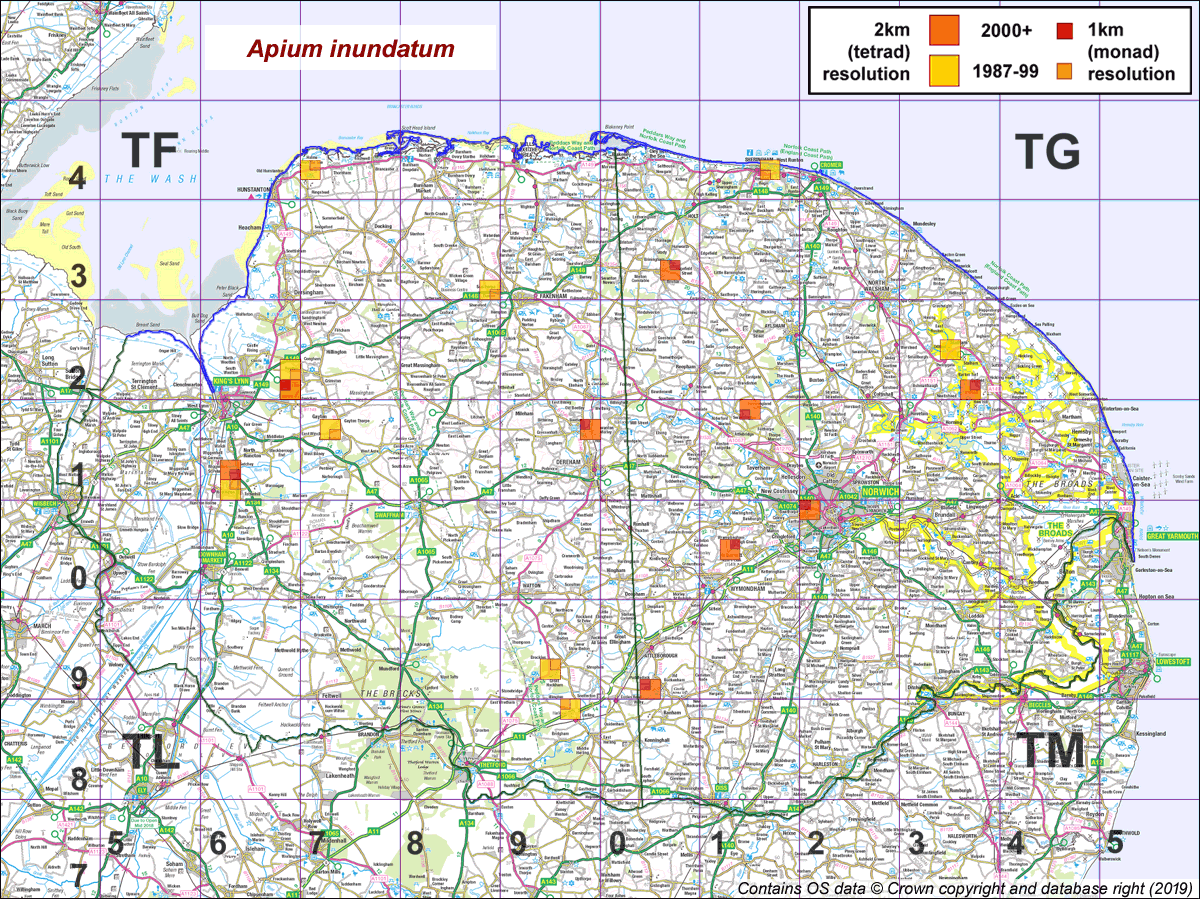 apium inundatum map