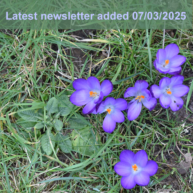 latest newsletter available